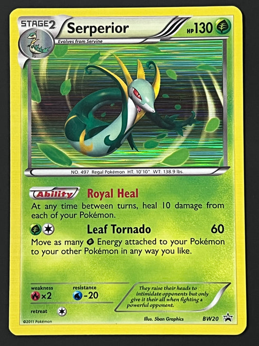 BW20 Serperior - Black Star Promo