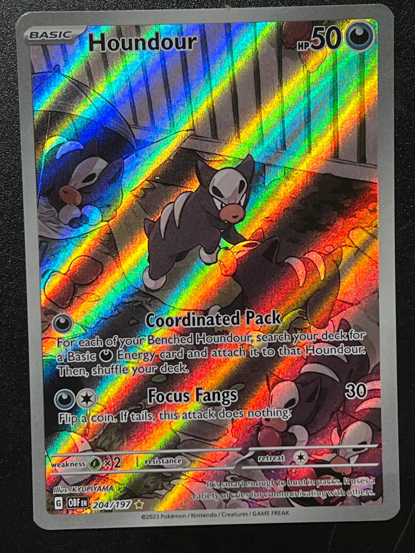 204/197 Houndour - Pokémon Obsidian Flames Illustration Rare