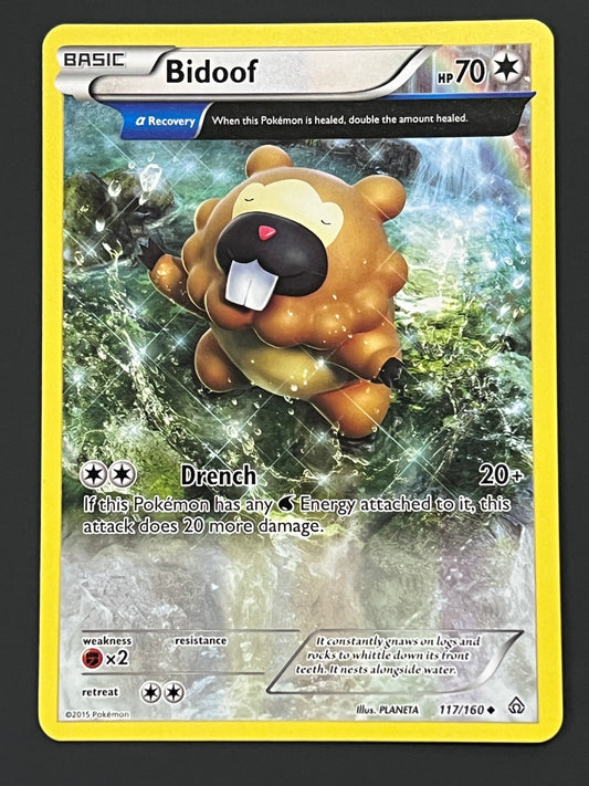 117/160 Bidoof - Pokémon Primal Clash Uncommon