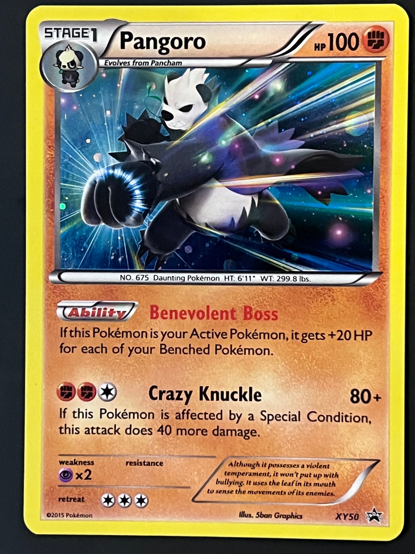 Pangoro - XY50 Holo Promo Black Star