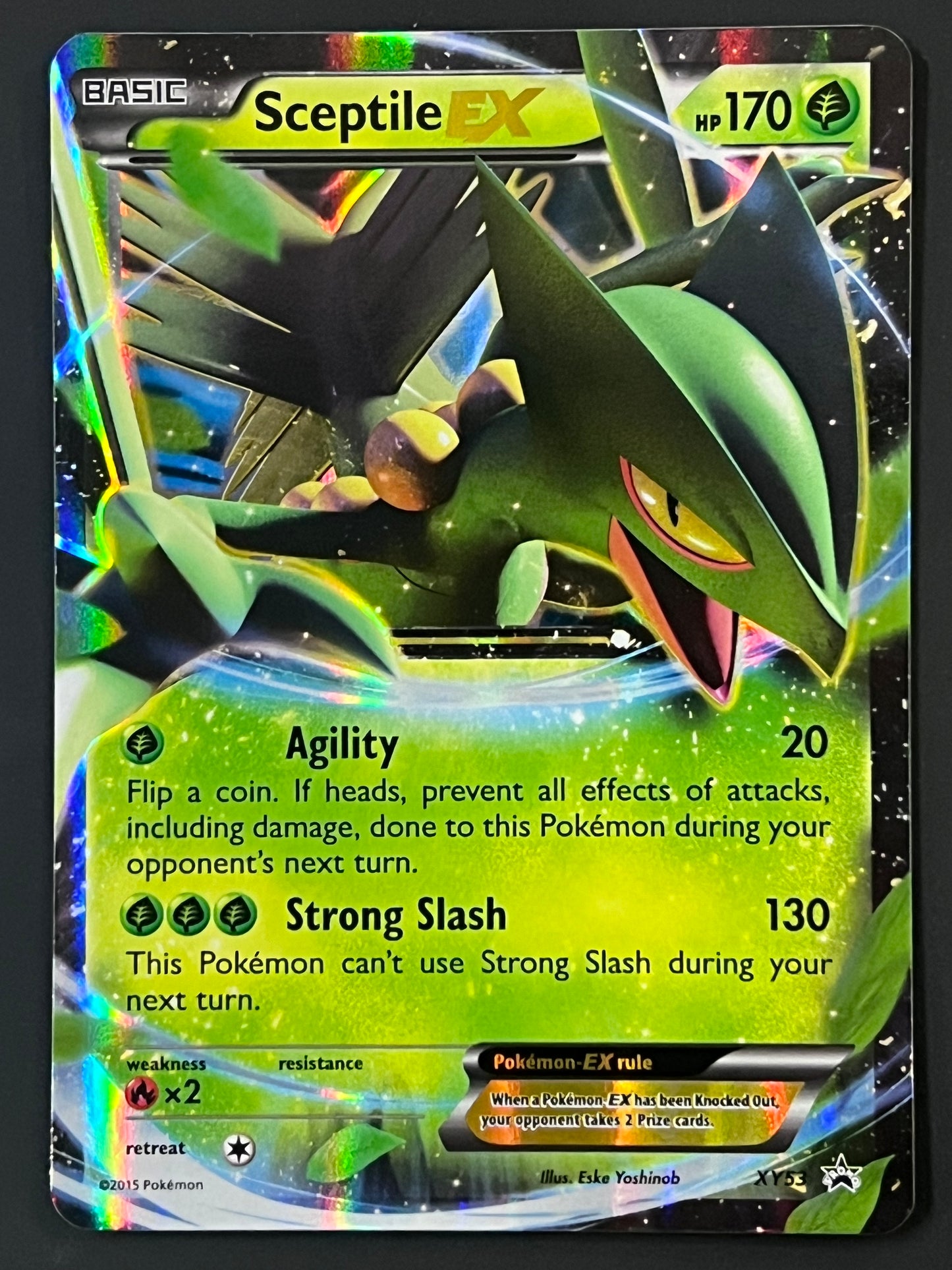 Sceptile EX - XY53 Holo Promo Black Star