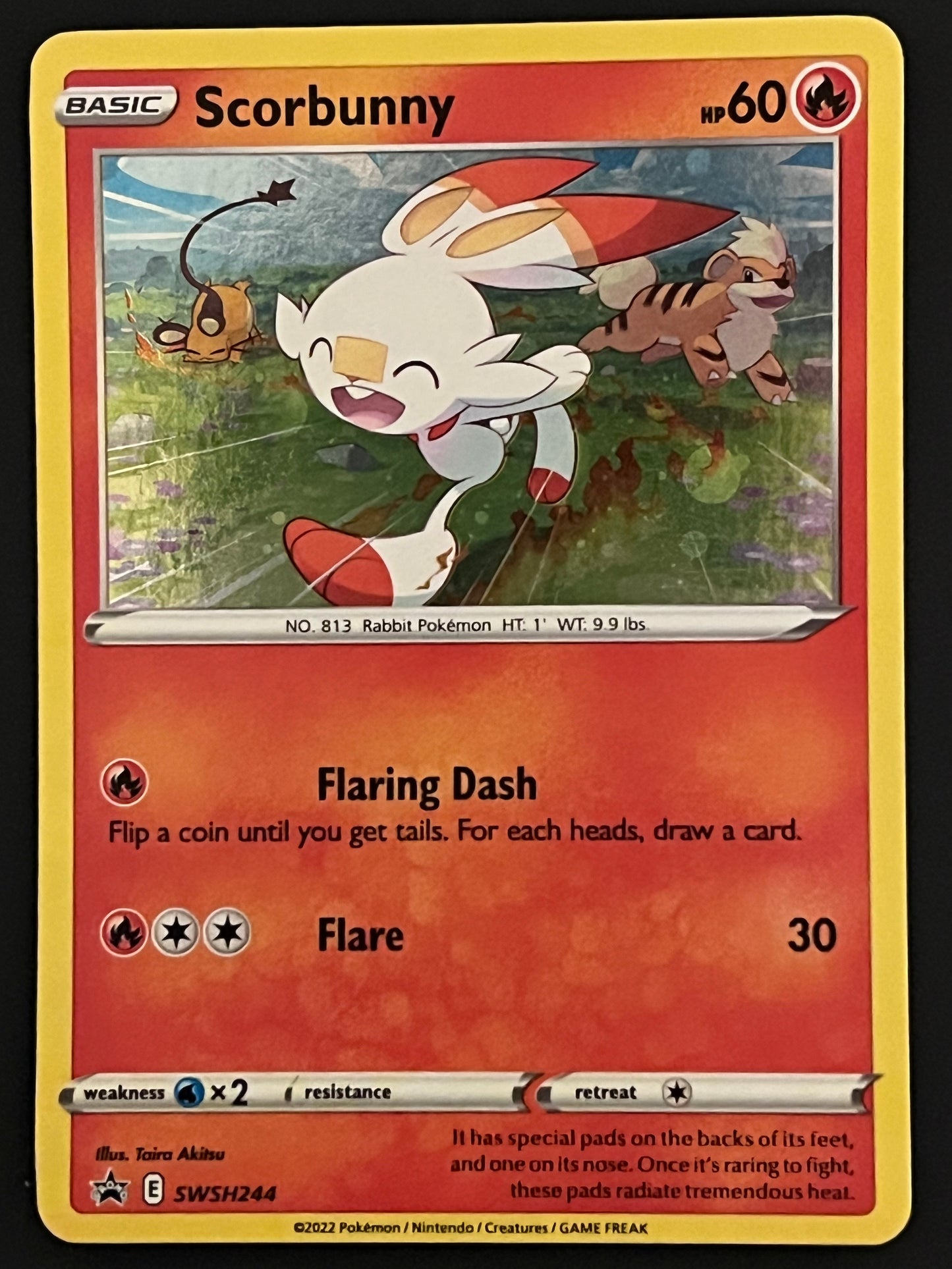 Scorbunny - SWSH244 Holo Promo Black Star