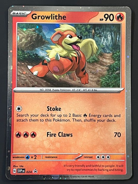 SVP024 Growlithe - Black Star Promo