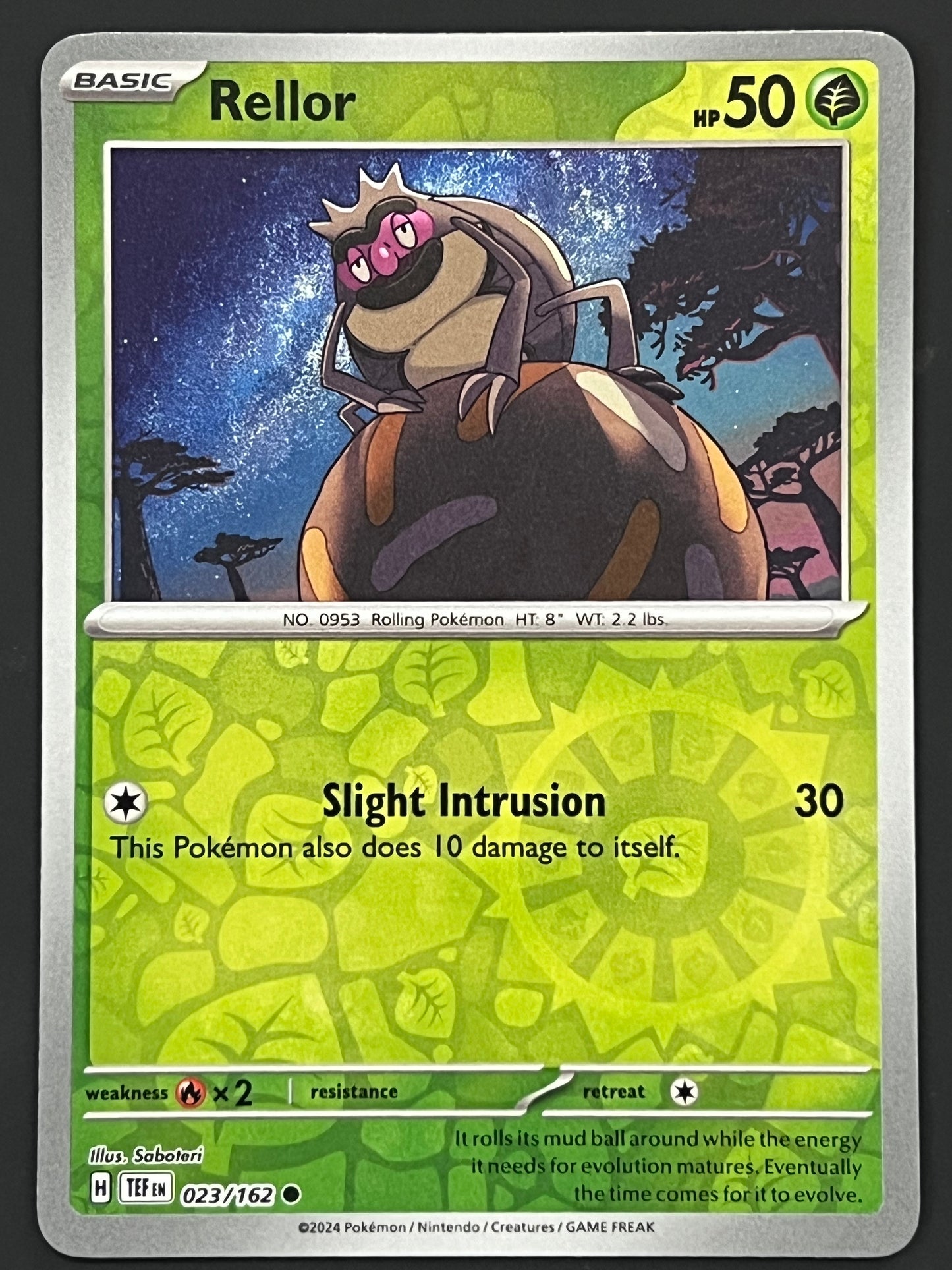 023/162 Rellor - Pokémon Temporal Forces Common Reverse