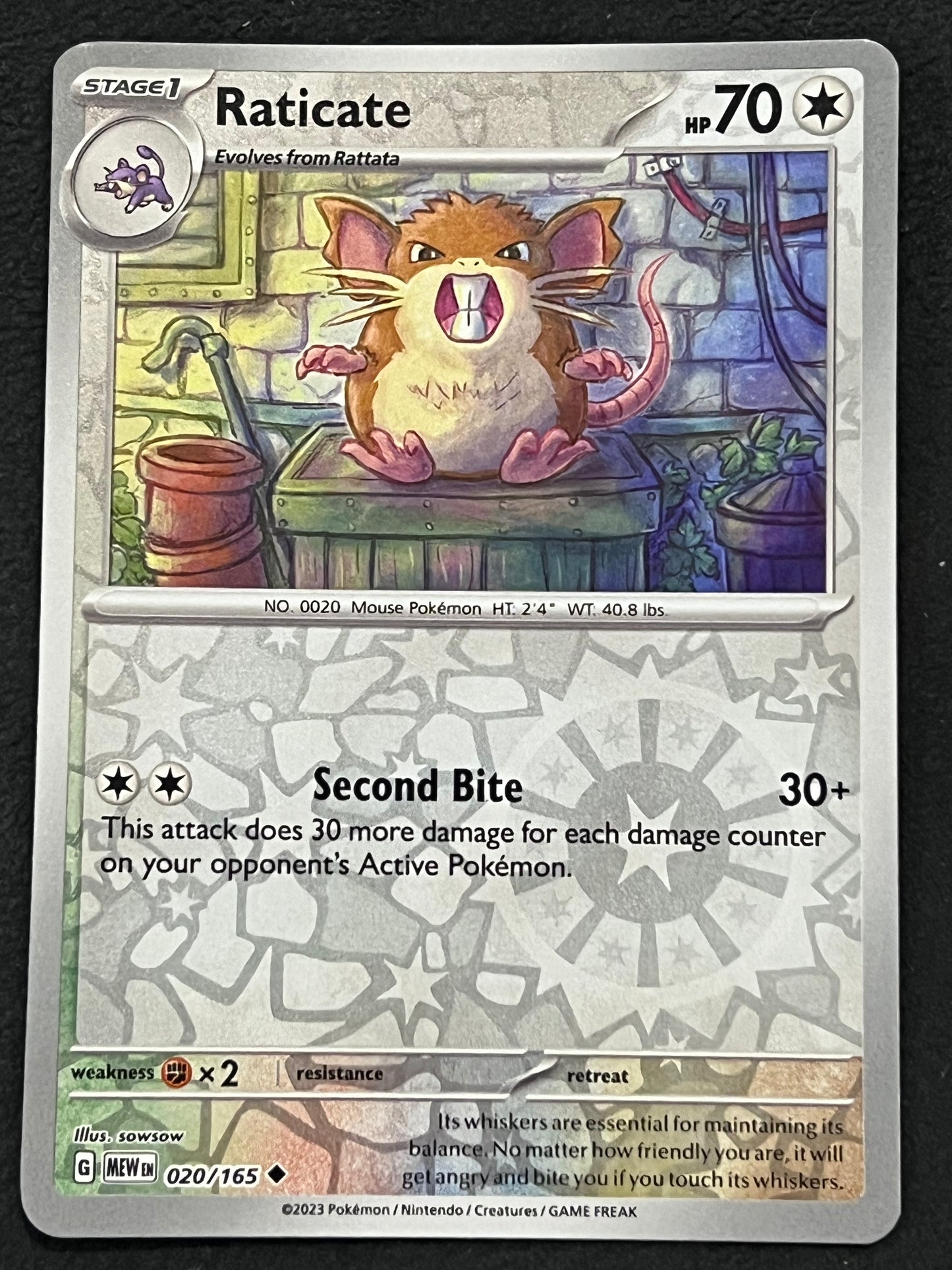 020/165 Raticate - Pokémon 151 Uncommon Reverse