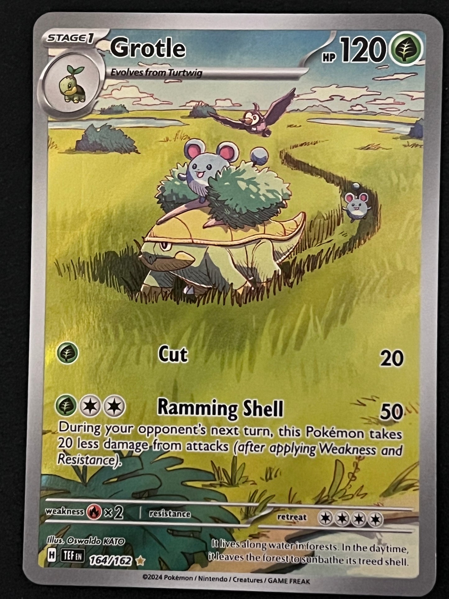 164/162 Grotle - Pokémon Temporal Forces Illustration Rare