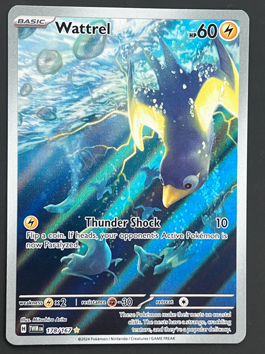 178/167 Wattrel - Pokémon Twilight Masquerade Illustration Rare