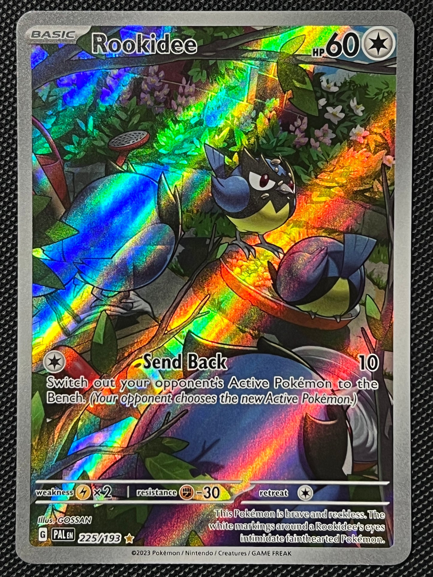 225/193 Rookidee - Pokémon Paldea Evolved Illustration Rare