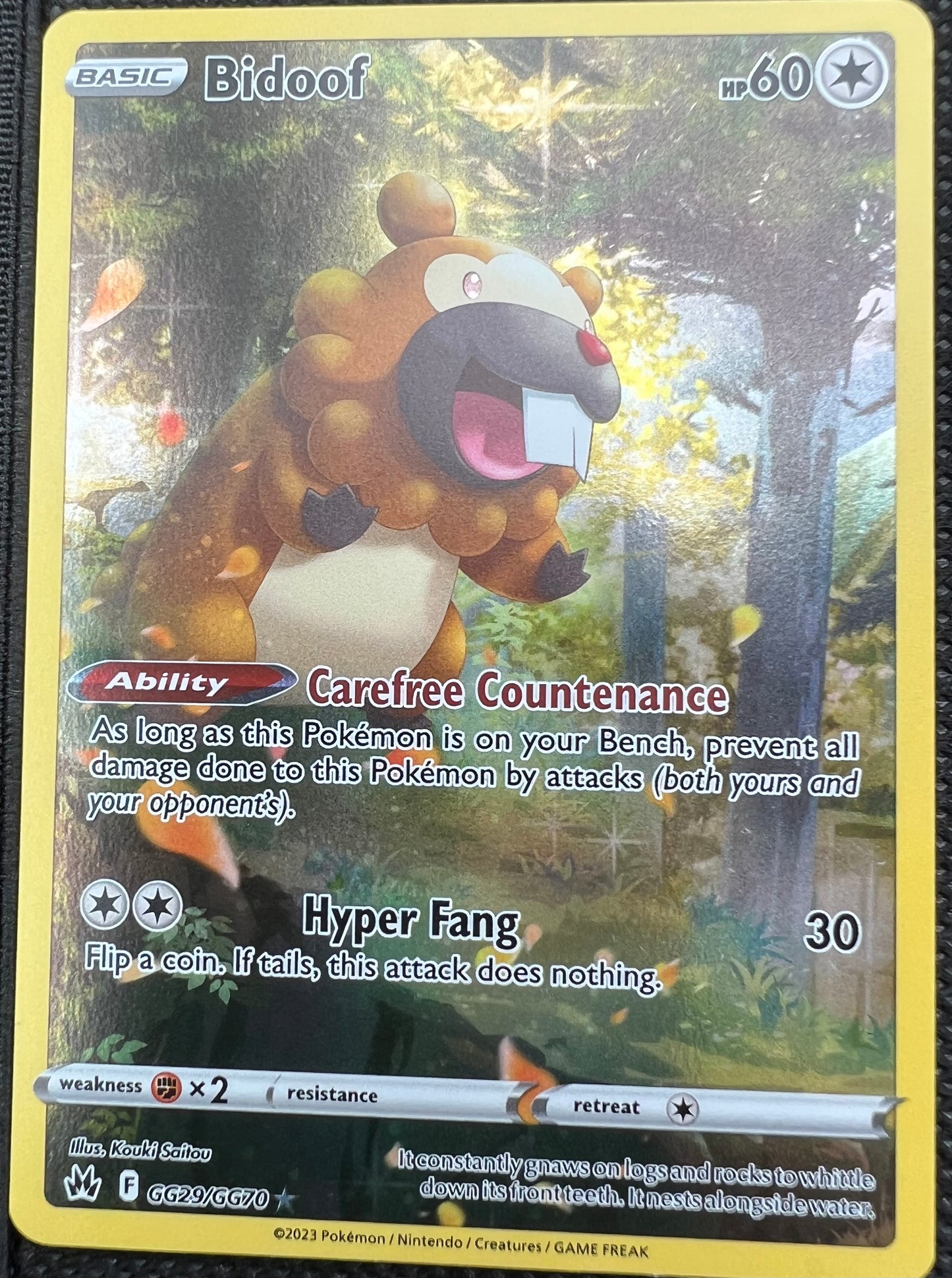 GG29/GG70 Bidoof - Pokémon Crown Zenith Holo Rare