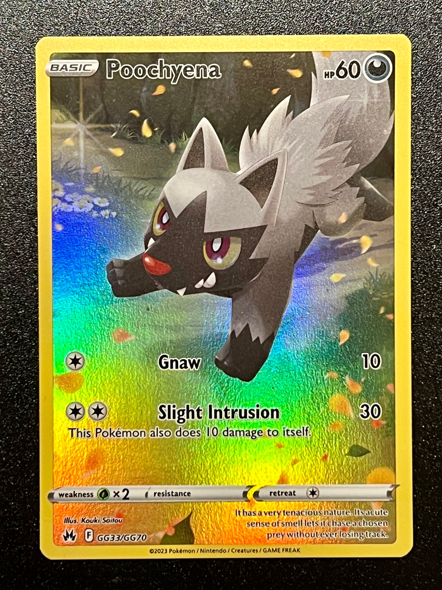 GG33/GG70 Poochyena - Pokémon Crown Zenith Holo Rare